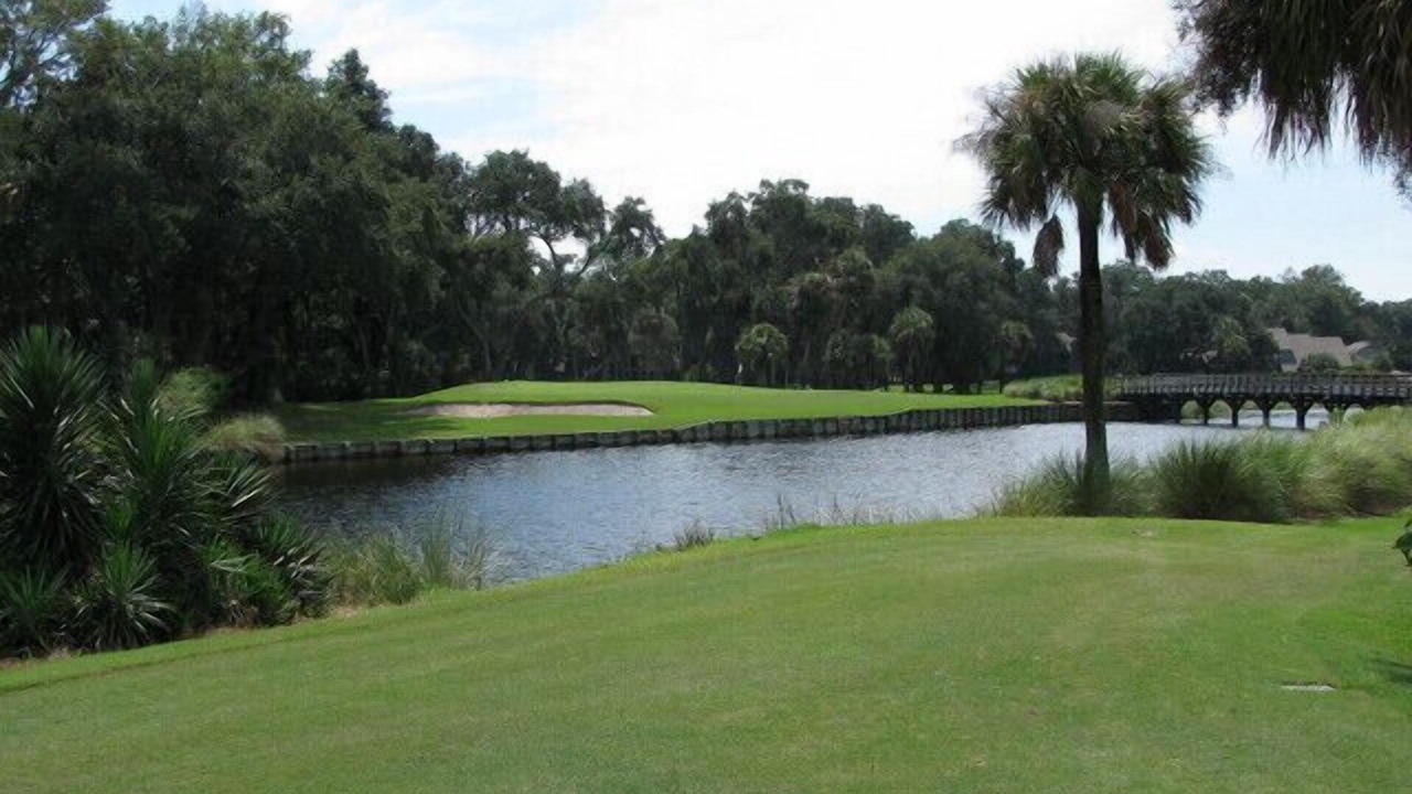 Photo of Others in Palmetto Dunes