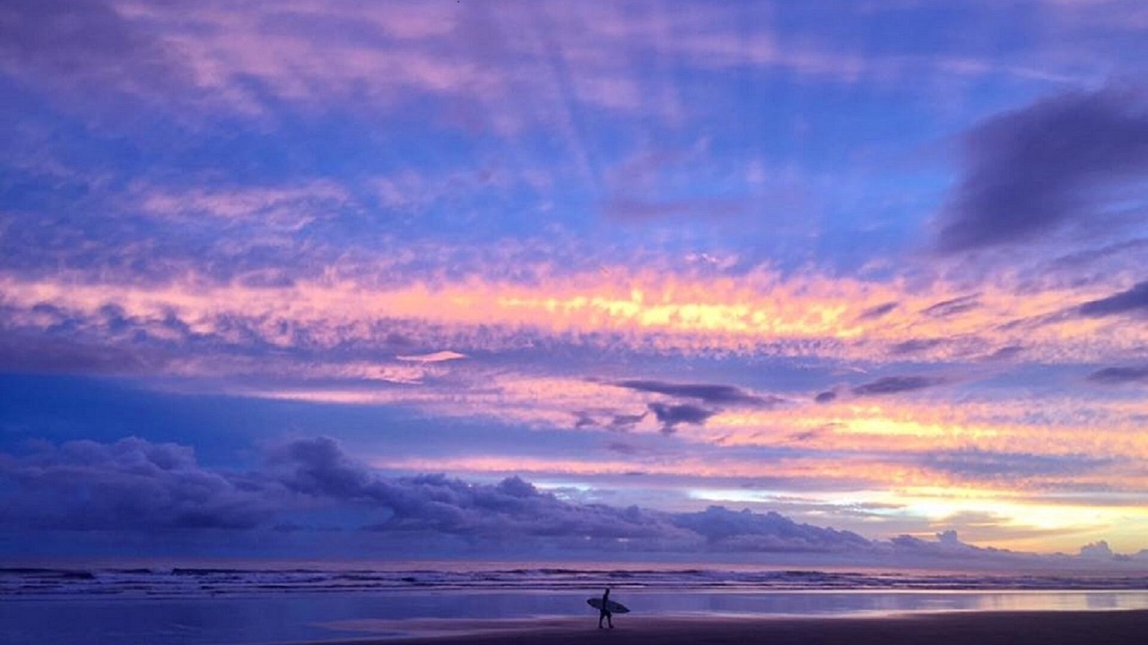 Photo of Others in Playa Coyote