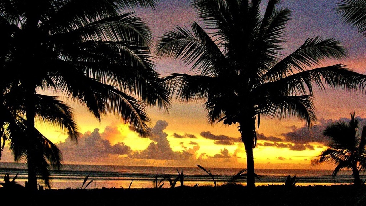 Photo of Others in Playa Coyote