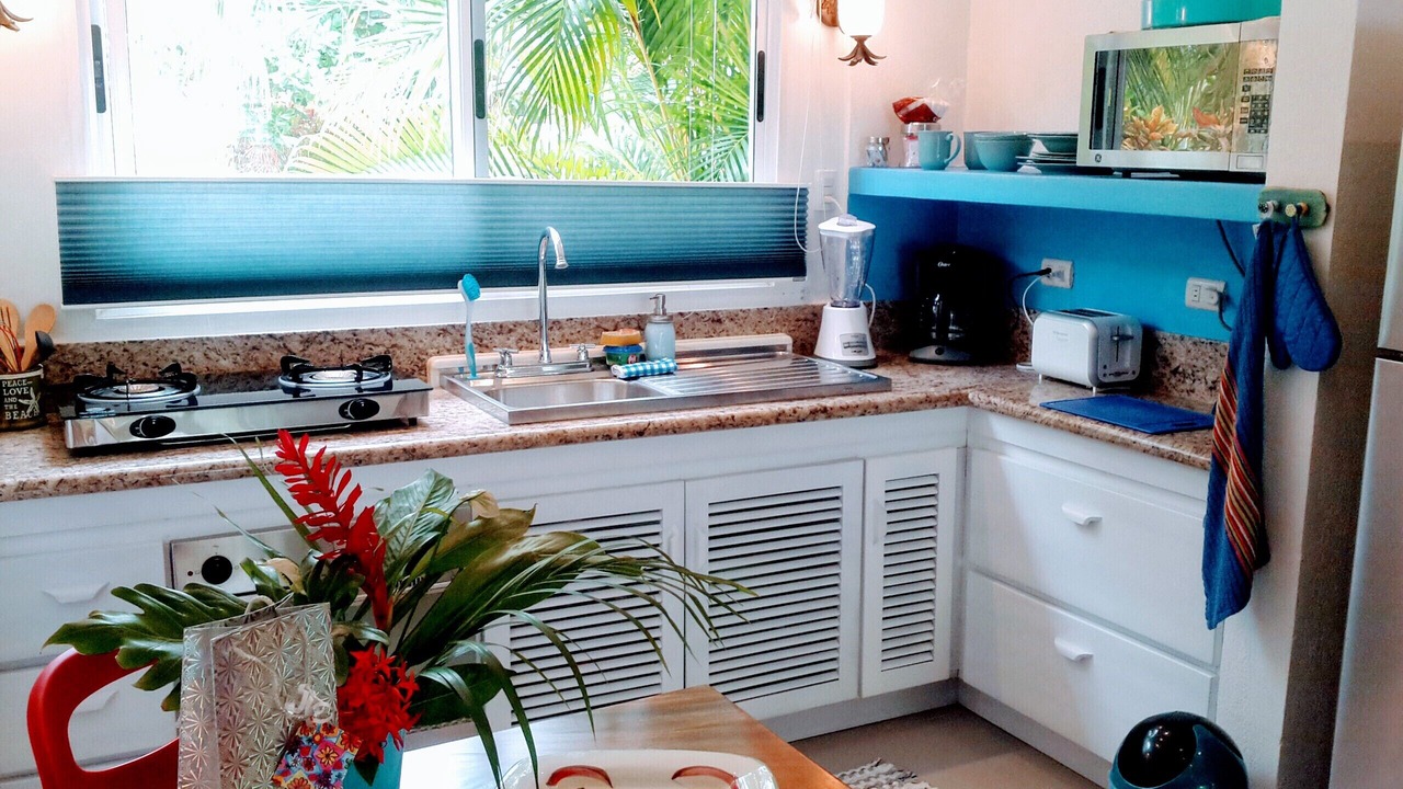 Photo of Kitchen in Playa Coyote