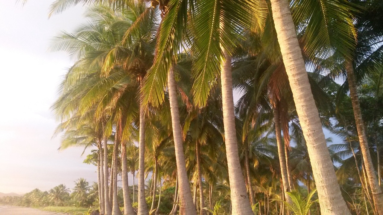 Photo of Outdoor in Playa Coyote