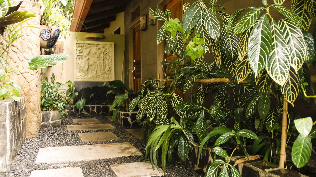 Photo of Patio Balcony in Dominical