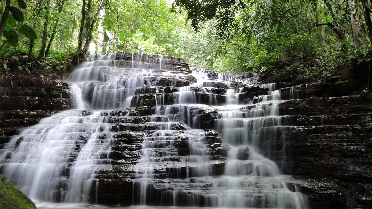 Photo of Outdoor in Dominical