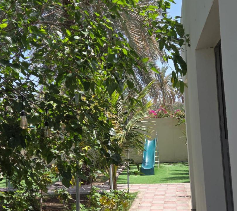 Photo of Others in Oman