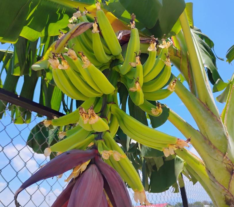 Photo of Outdoor in Parrita