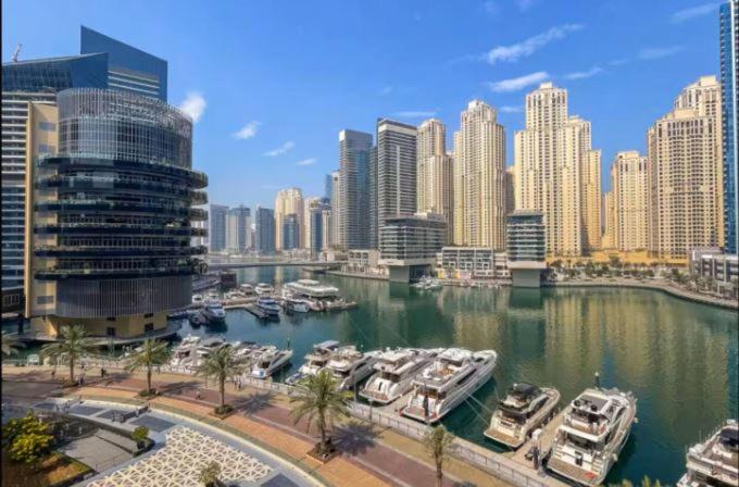 Photo of Others in Dubai Marina