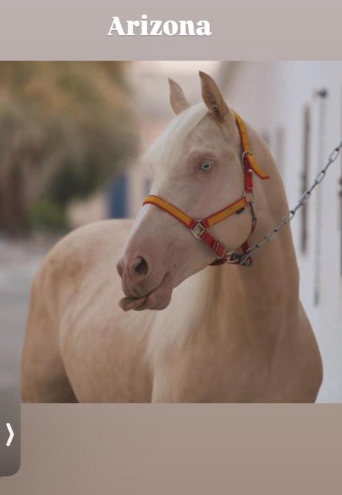 Photo of Others in Al Wathba