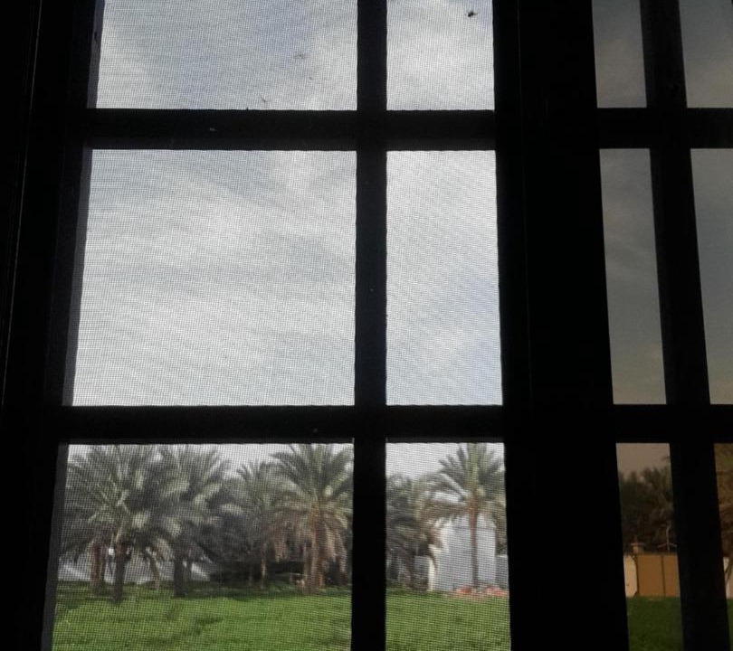 Photo of Others in Oman