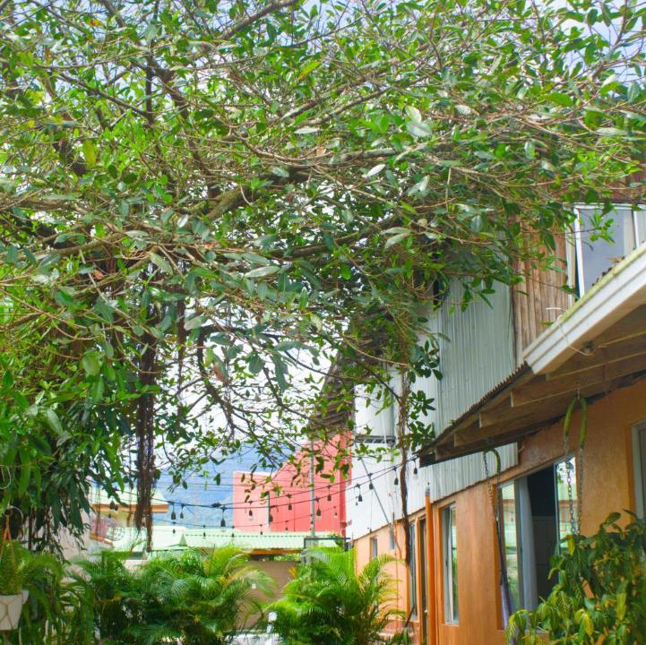 Photo of Others in Barrio Pilo