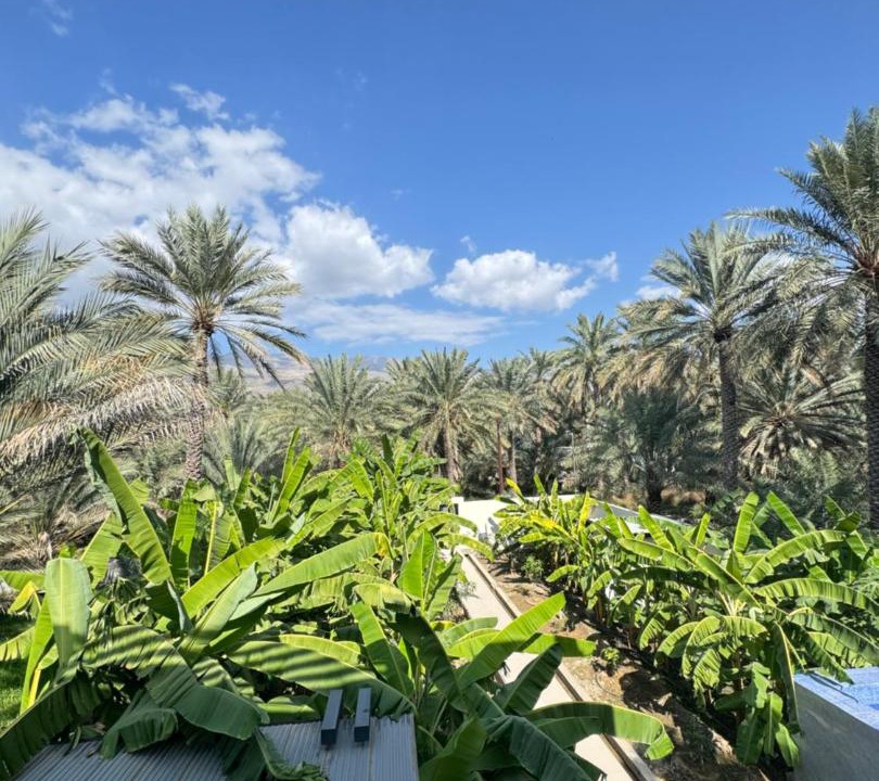 Photo of Others in Al Hamra