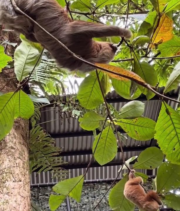 Photo of Others in Quepos