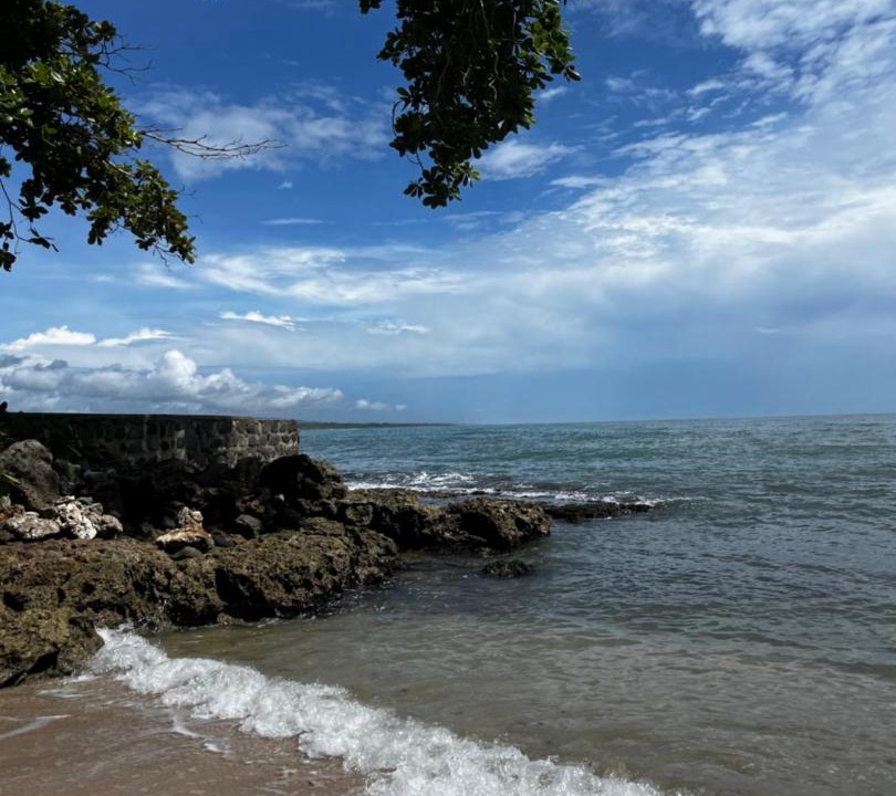 Photo of Others in Cahuita
