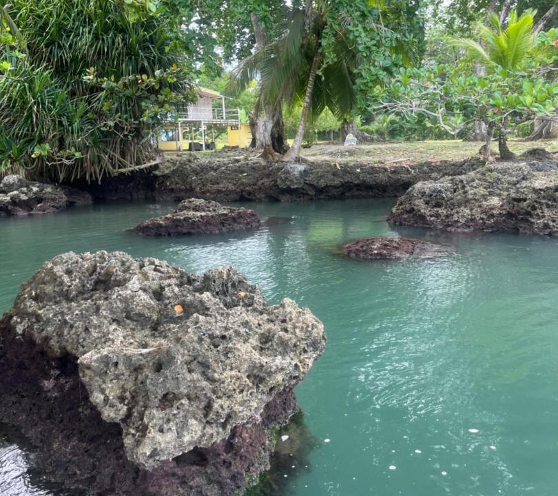 Photo of Others in Cahuita