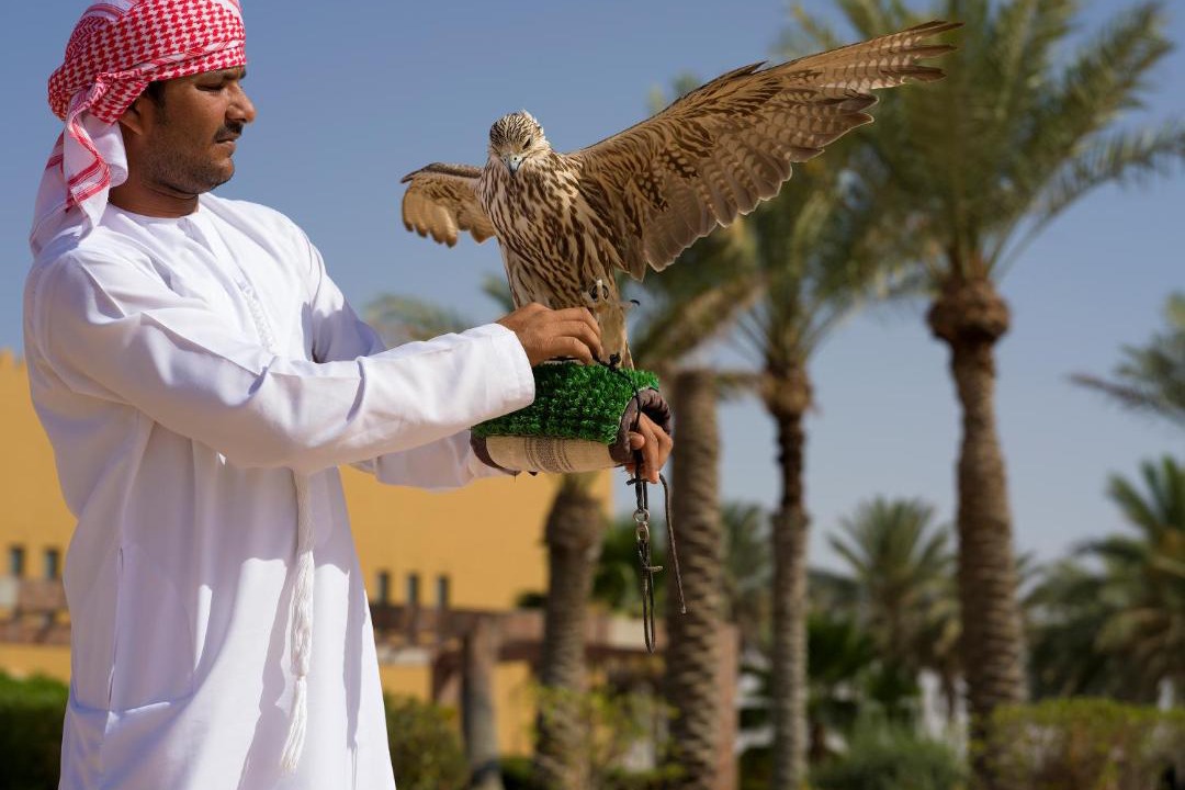 Photo of Others in Madinat Zayed