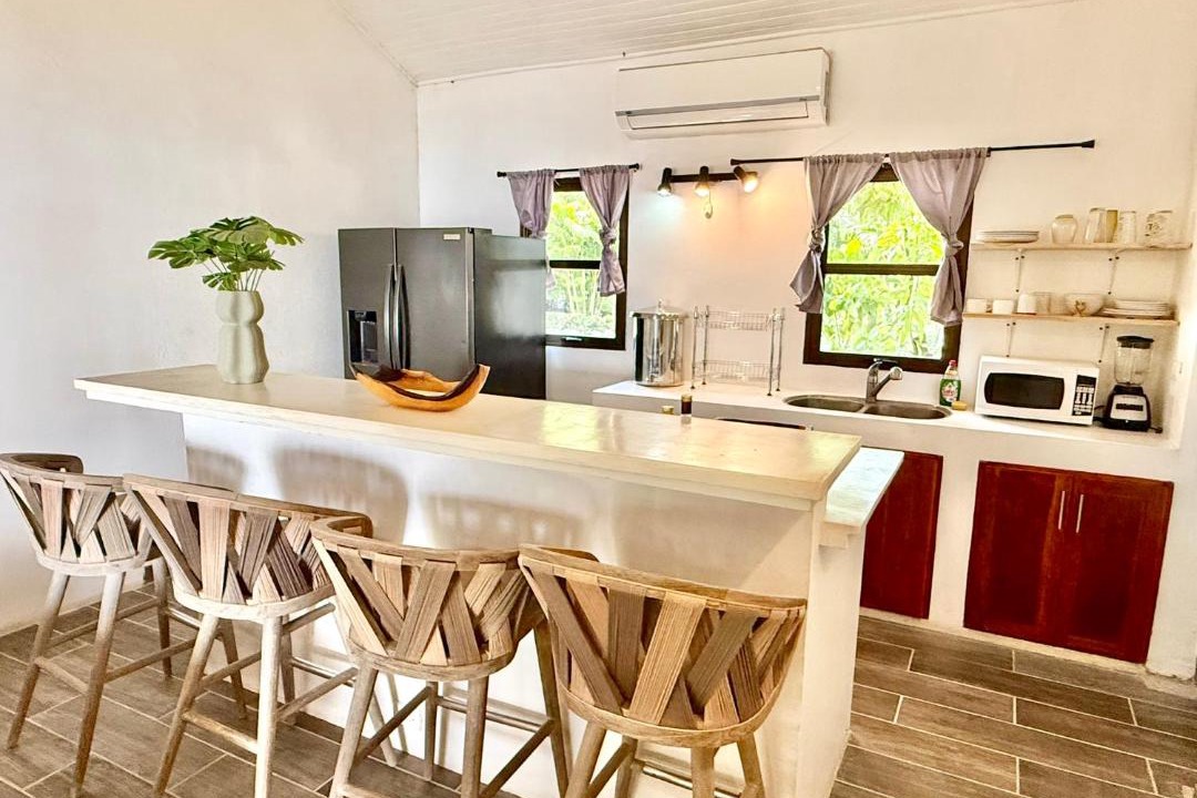 Photo of Kitchen in Nosara