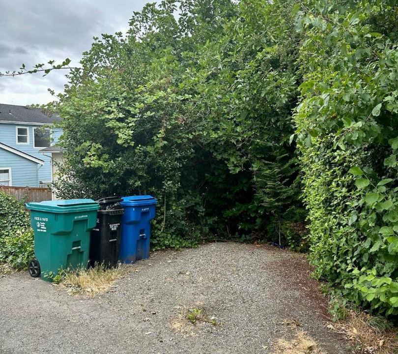 Photo of Others in Mount Baker