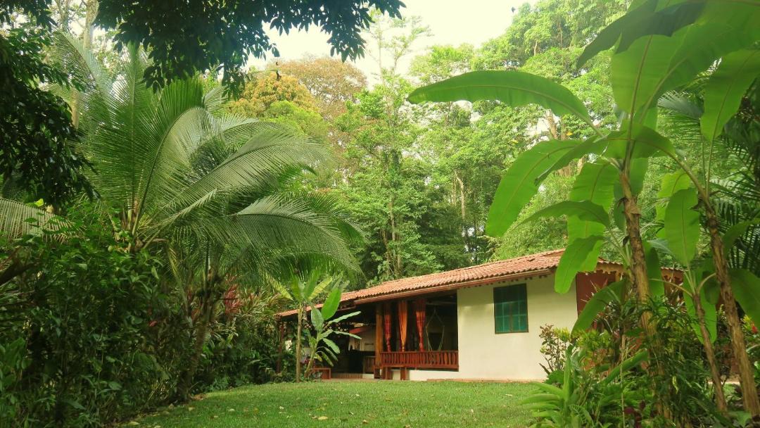 Photo of Others in Chiguata