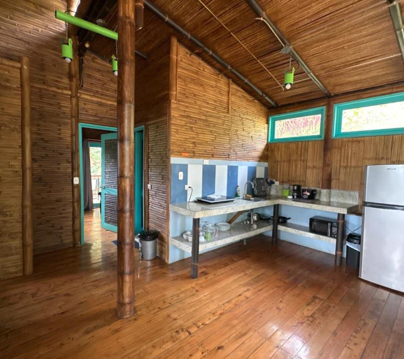 Photo of Kitchen in Turrialba