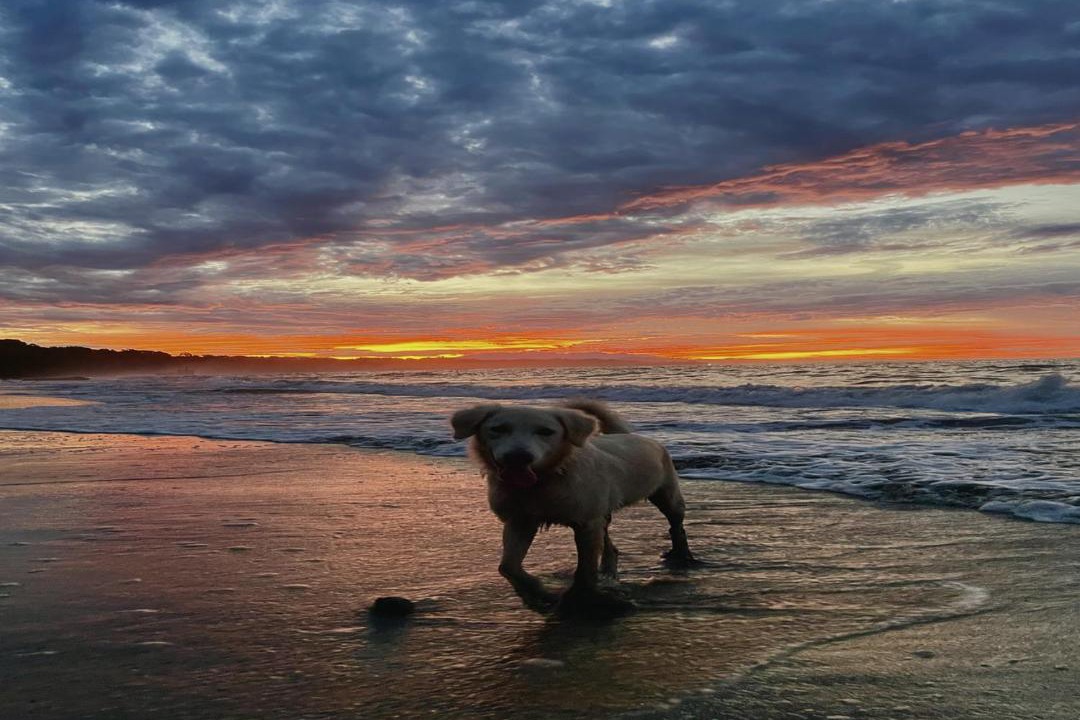 Photo of Human In Picture in Manzanillo