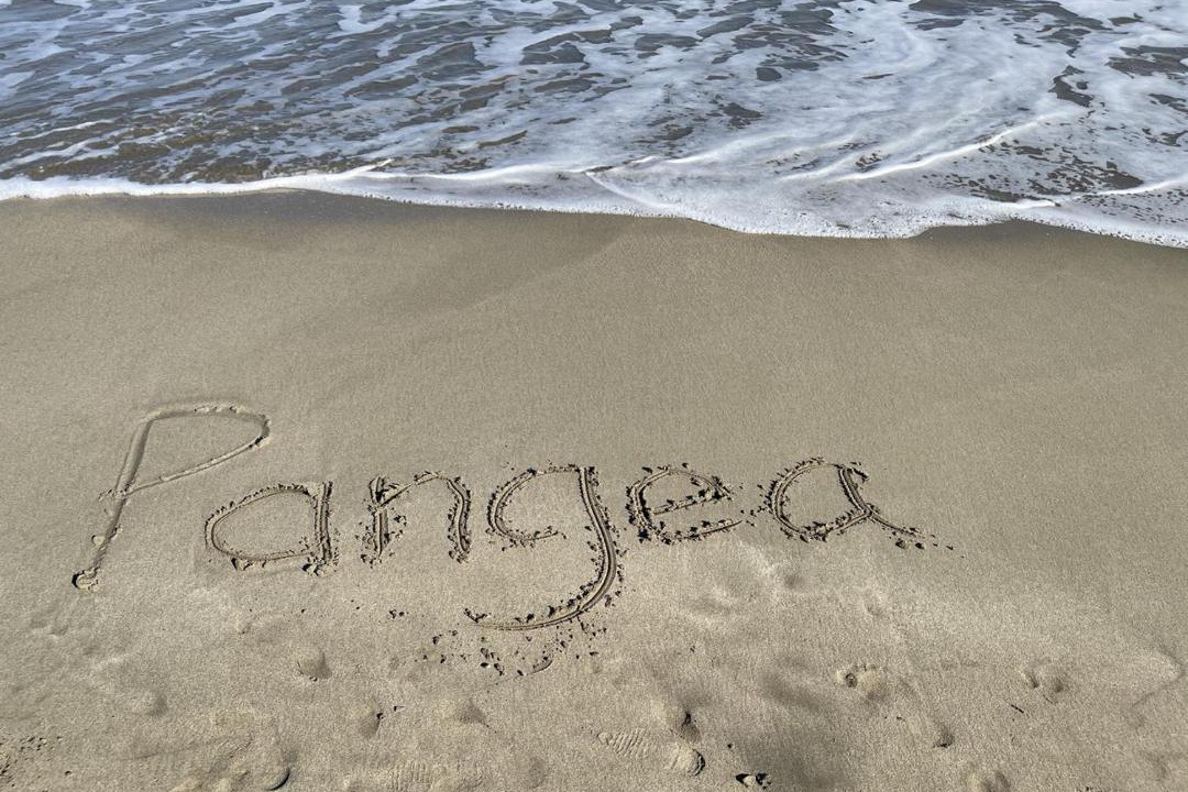 Photo of Others in Manzanillo