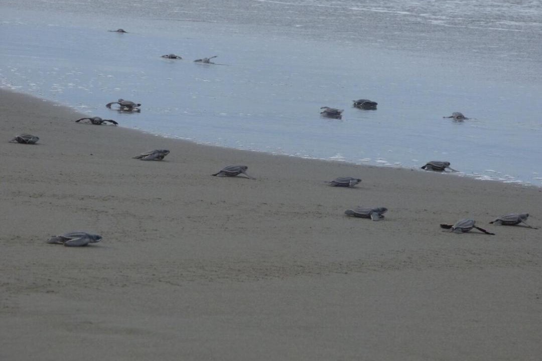 Photo of Others in Santa Lucia