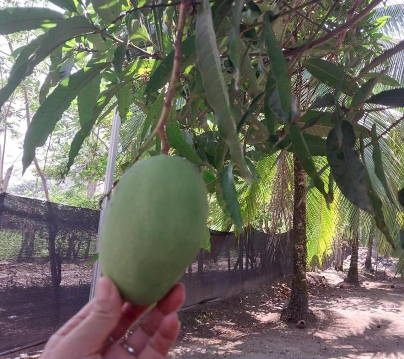 Photo of Outdoor in Santa Lucia