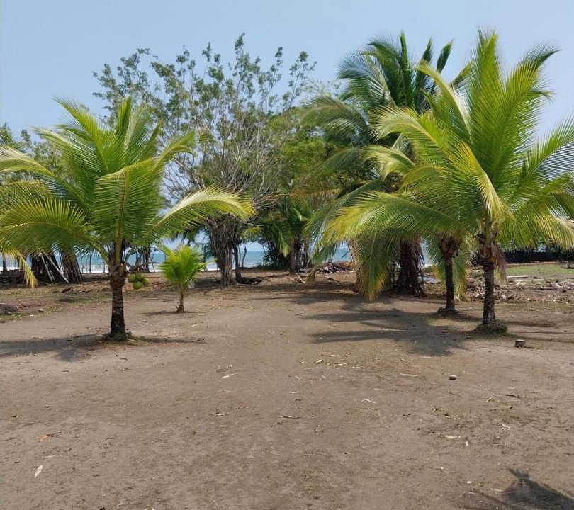 Photo of Others in Santa Lucia