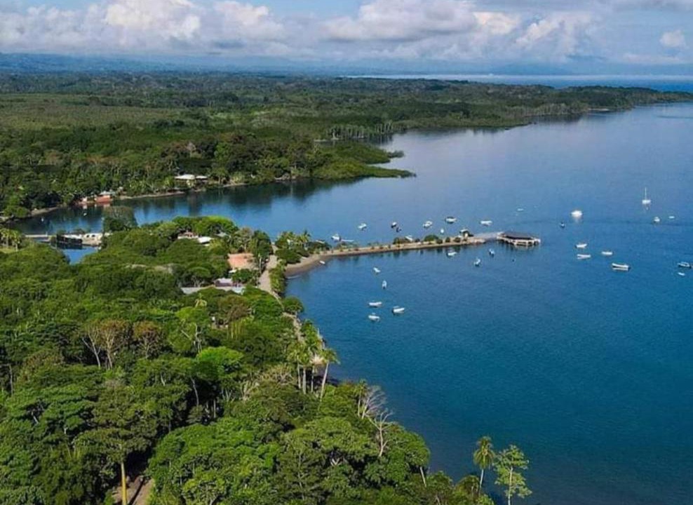 Photo of Others in Puerto Jimenez