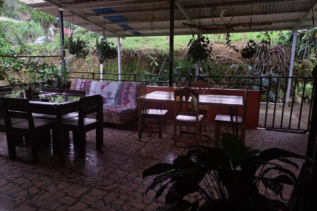 Photo of Others in Pejibaye