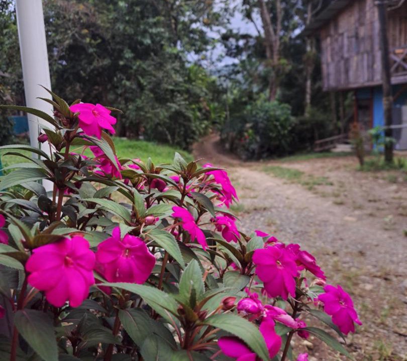 Photo of Outdoor in Pejibaye