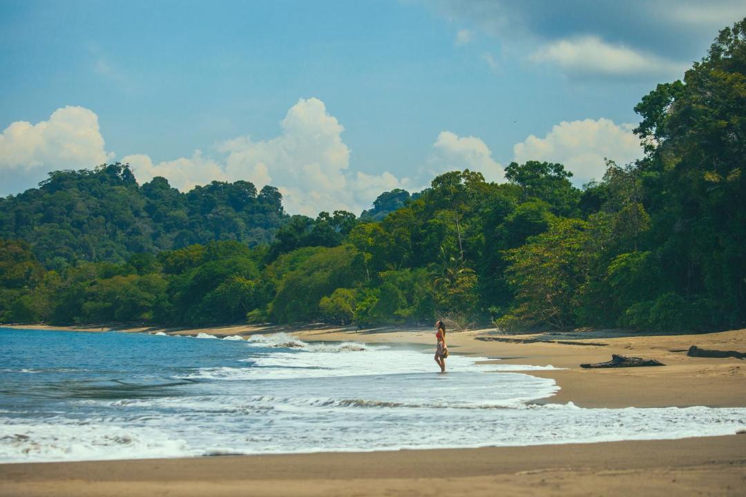 Photo of Others in Manuel Antonio
