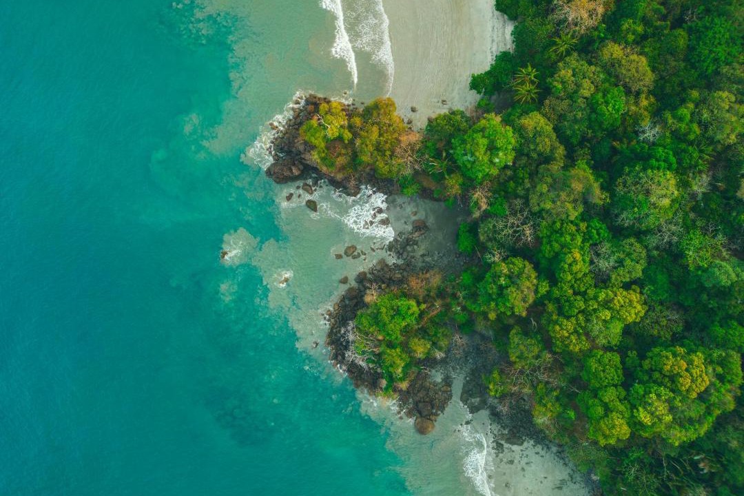 Photo of Others in Manuel Antonio