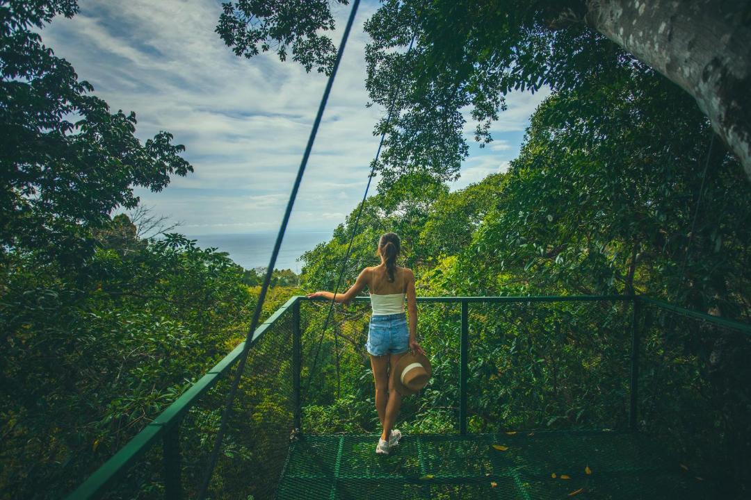 Photo of Others in Manuel Antonio