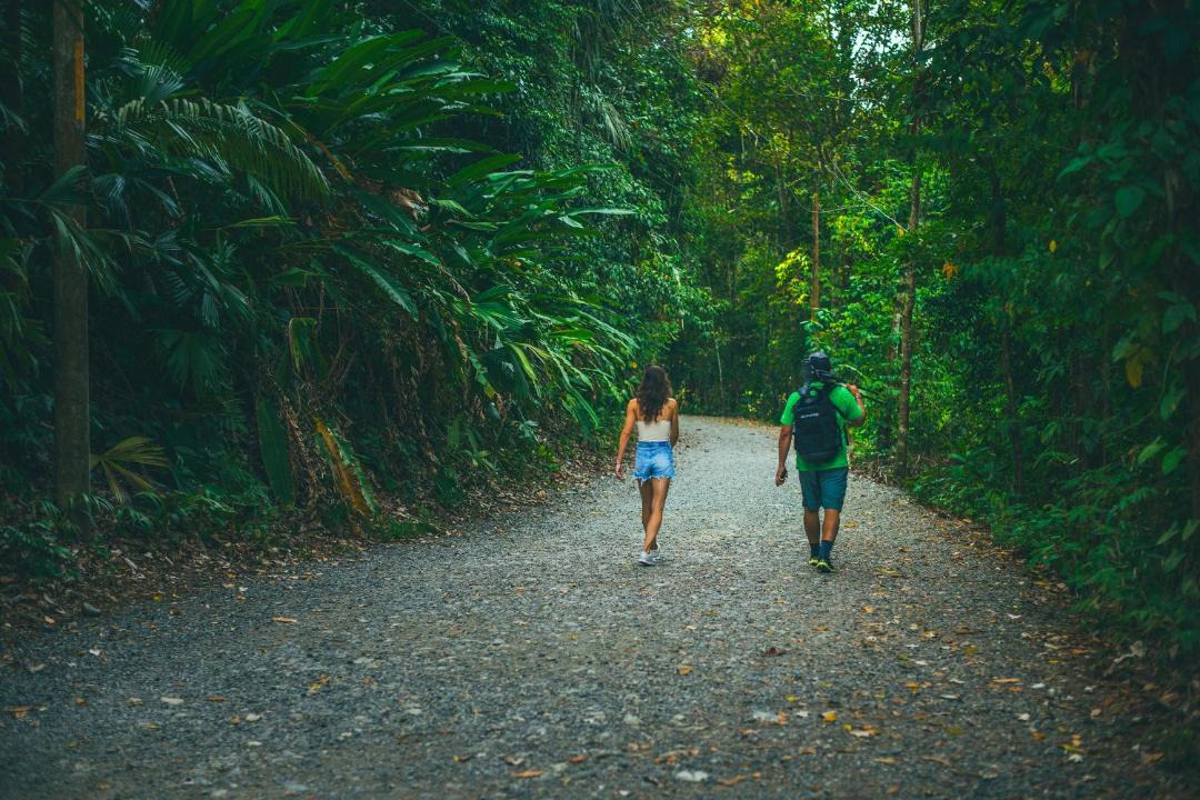 Photo of Others in Manuel Antonio