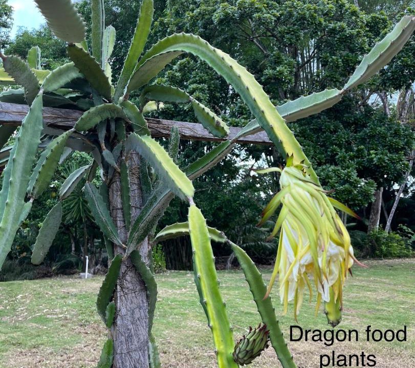 Photo of Outdoor in Sierpe