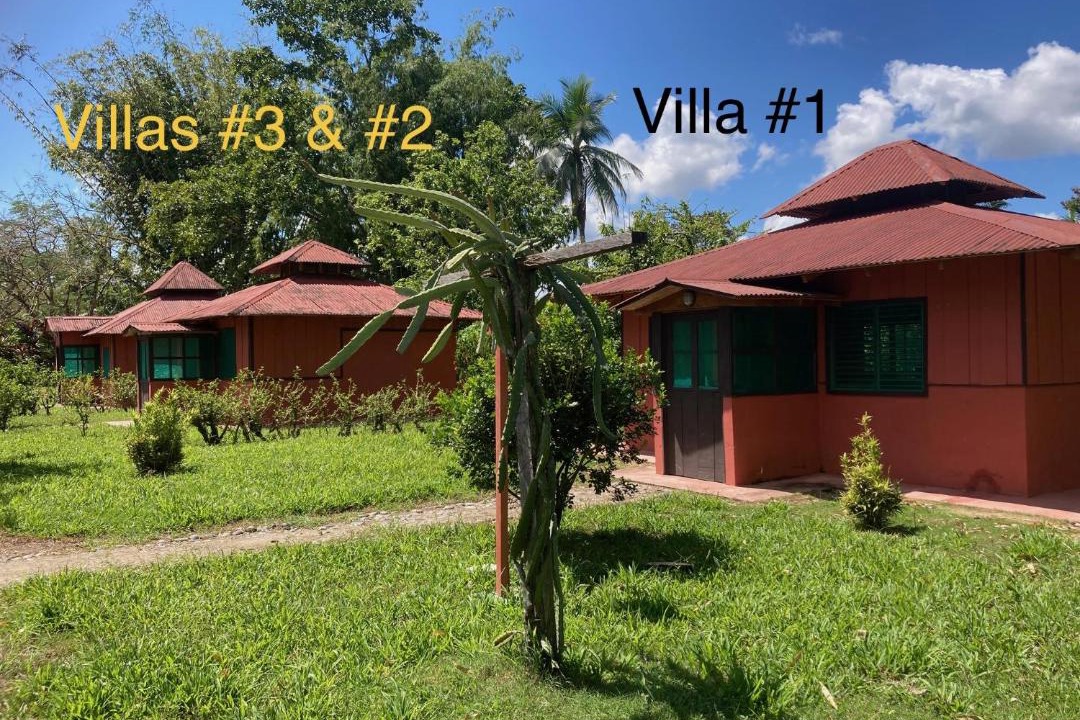 Photo of Buildings in Sierpe