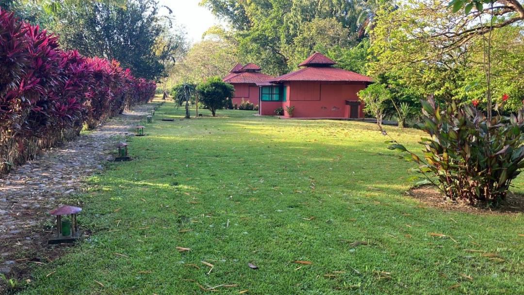 Photo of Others in Sierpe