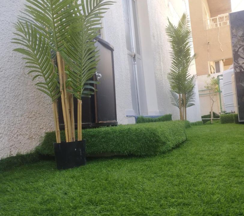 Photo of Others in Ajman