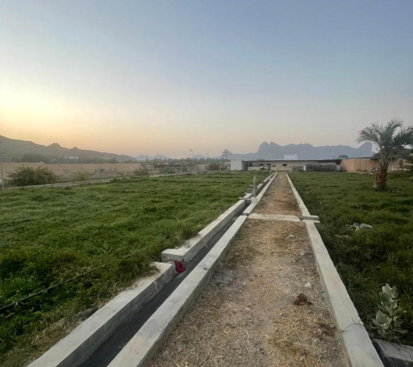 Photo of Others in Al Hamra