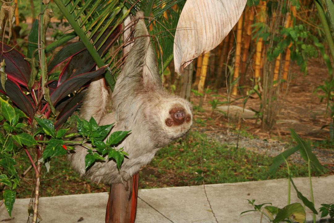 Photo of Others in Parrita