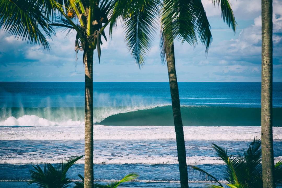 Photo of Others in Parrita