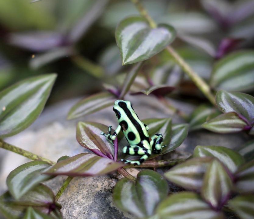 Photo of Outdoor in Parrita