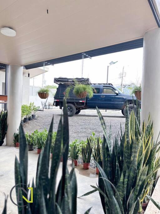 Photo of Others in Tarcoles