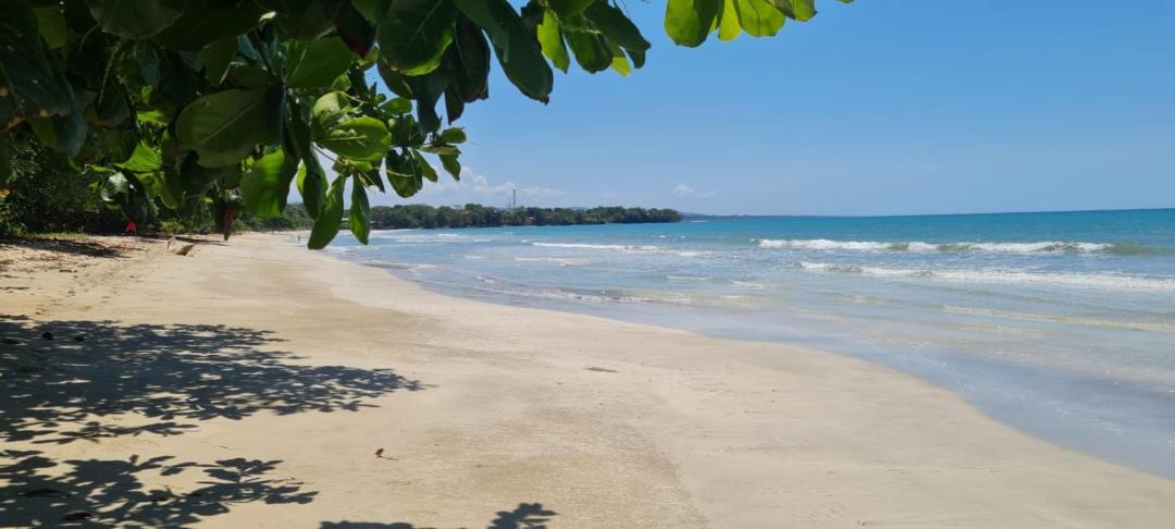Photo of Others in Cahuita