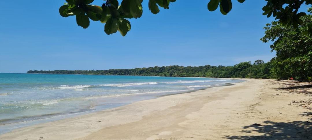 Photo of Others in Cahuita