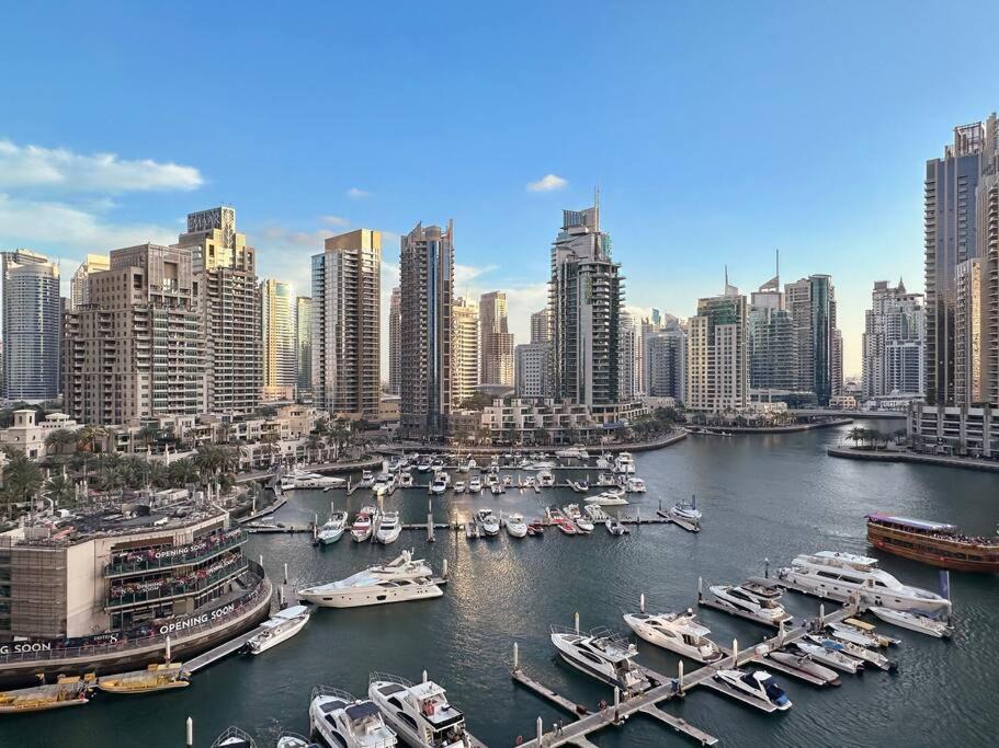 Photo of Others in Dubai Marina