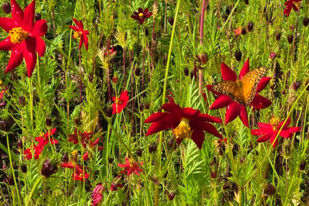 Photo of Outdoor in Mogote de Bagaces
