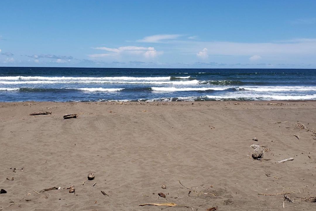 Photo of Others in Tortuguero