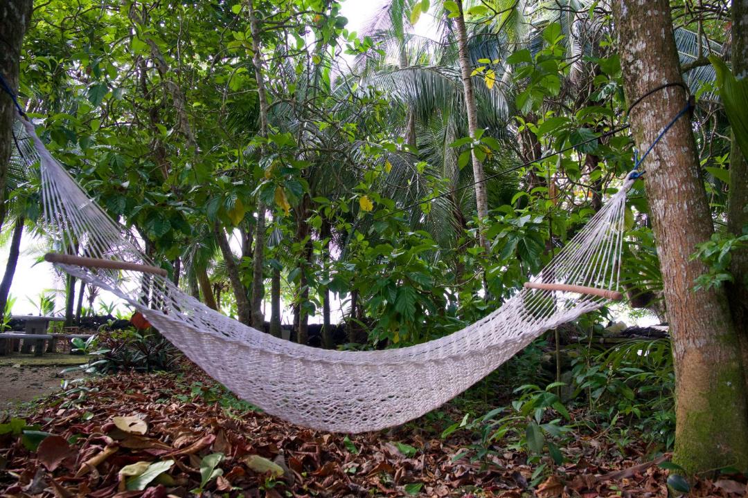 Photo of Others in Cahuita
