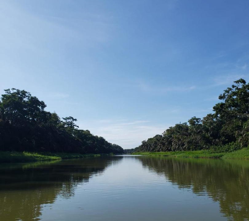 Photo of Others in Tortuguero
